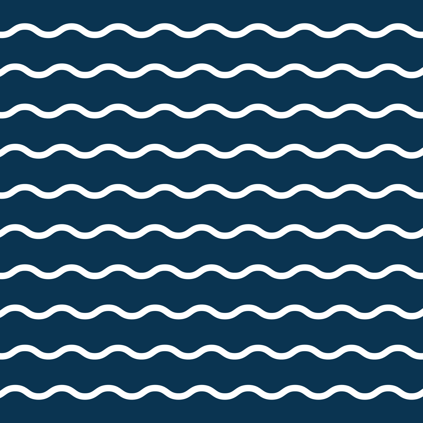 Branding Design for The Ninch Wave Pattern