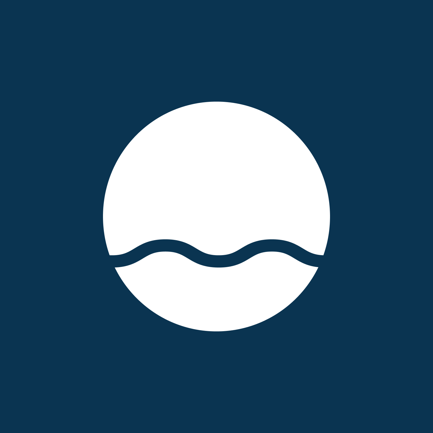 Branding Design for The Ninch