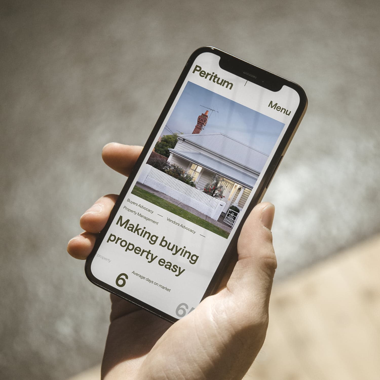 Branding Design for Peritum Social Media Stories